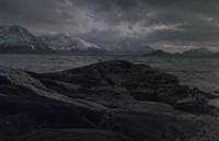 Кадр И на камнях растут деревья