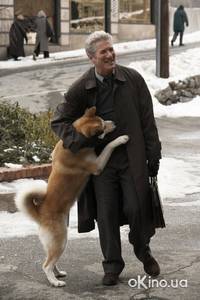 Кадр Хатико: Самый верный друг