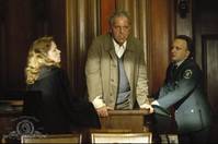 Кадр Розовый сад