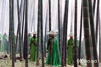 Кадр Дом летающих кинжалов