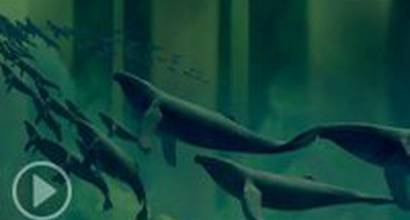 Фрагмент №1