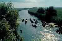 Кадр Дельта