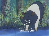 Кадр Приключения Тома Сойера