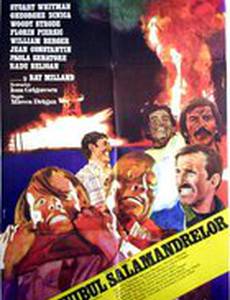 Гнездо саламандр