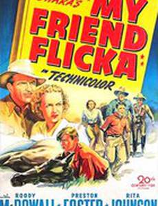 Мой друг Флика