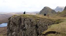 Кадр из фильма "Звездная пыль" - 2