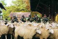 Кадр Теперь ты в армии