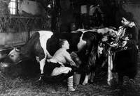 Кадр Дочери Колхизела