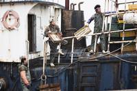 Кадр Морской туман