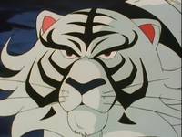 Кадр Чудотворные рыцари