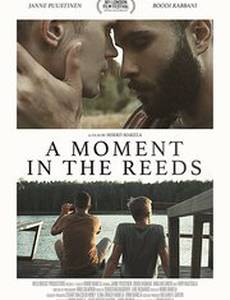A Moment in the Reeds