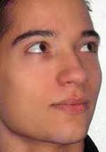 Жорж Дю Френ фото