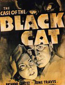 Дело о черном коте