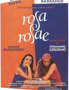 Розовая роза