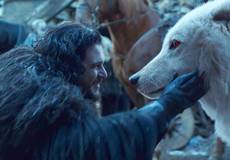 В сериале-ответвлении «Игры престолов» будут Старки