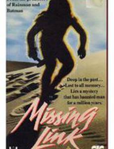 Missing Link