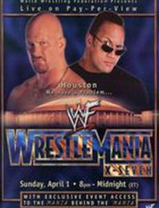 WWF РестлМания 17