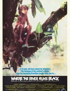 Там, где река становится чёрной