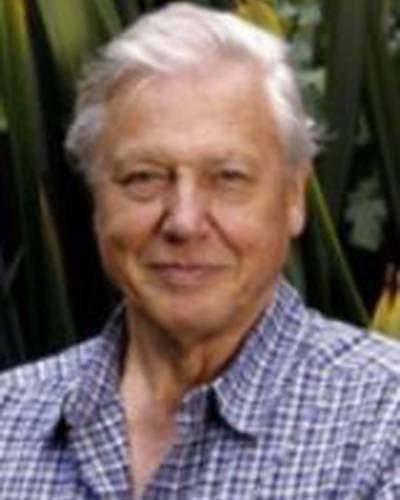 Дэвид Аттенборо фото