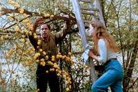 Кадр Весенняя сказка