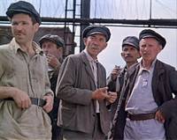 Кадр Красные пчелы