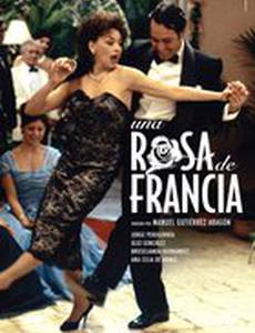 Роза Франции