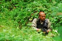 Кадр Ключ Саламандры