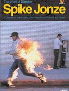 Как они туда попали