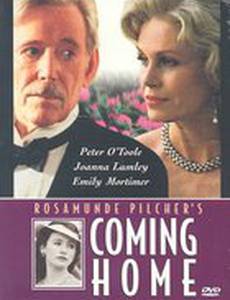 Возвращение домой