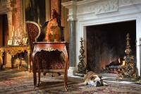 Кадр Гарфилд 2: История двух кошечек