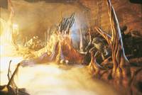 Кадр Эволюция