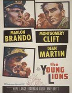 Молодые львы