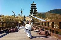 Кадр Новый однорукий меченосец