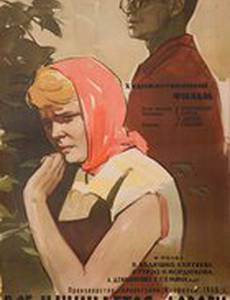 Все начинается с дороги