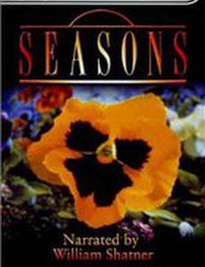 Seasons