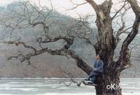 Кадр Весна, лето, осень, зима... и снова весна