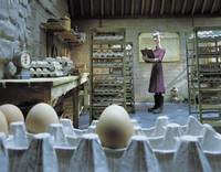 Кадр Побег из курятника