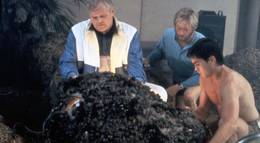 Кадр из фильма "Кокон" - 2