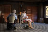 Кадр Бивень