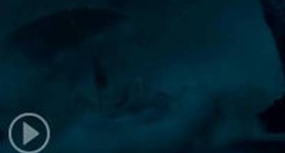 Фрагмент №5