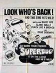 Ein Käfer geht aufs Ganze