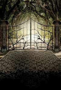 Постер Прекрасные создания