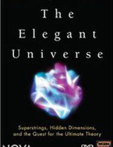 Элегантная вселенная (мини-сериал)