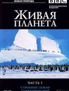 BBC: Живая планета