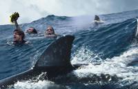 Кадр Над глубиной: Хроника выживания