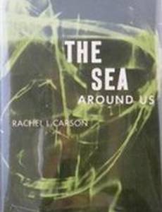 Море вокруг нас