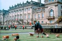 Кадр Король Ральф