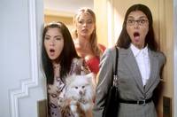 Кадр В погоне за Папи