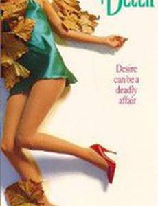 Паутина обмана