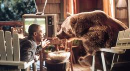 Кадр из фильма "Доктор Дулиттл 2" - 2